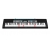 CASIO LK-136 Keyboard
